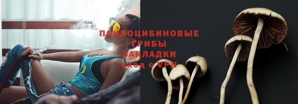 jwh Нефтекумск