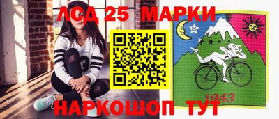 СК Гатчина