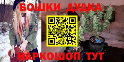 СК Гатчина