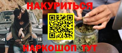 СК Гатчина
