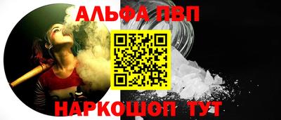 СК Гатчина