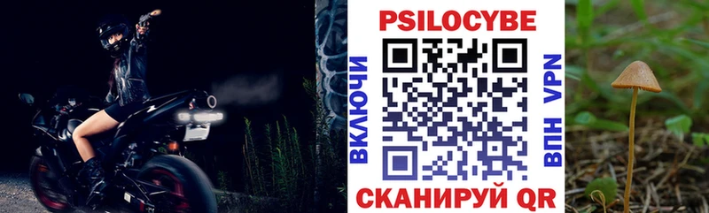 Псилоцибиновые грибы мицелий  Кунгур 