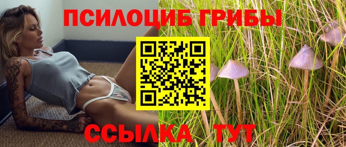 Галлюциногенные грибы Cubensis  Вход с VPN  где можно купить наркотик  Кунгур  Галлюциногенные грибы мицелий 