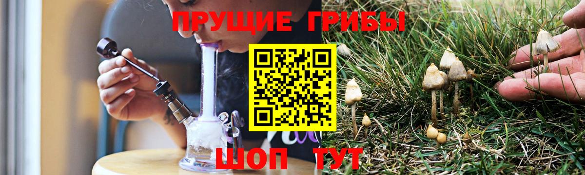 Псилоцибиновые грибы прущие грибы Кунгур